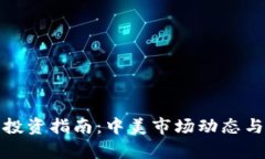 : 虚拟币投资指南：中美市