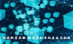 湖南微算互联：探索虚拟