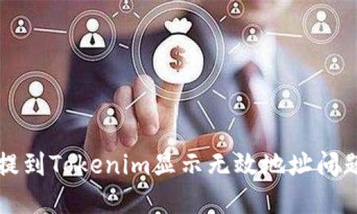 如何解决币提到Tokenim显示无效地址问题的详细指南