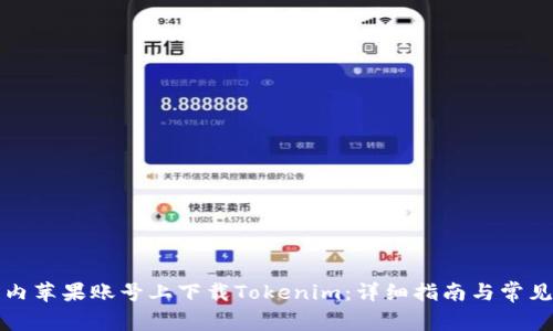如何在国内苹果账号上下载Tokenim：详细指南与常见问题解答