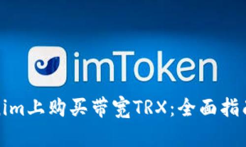 如何在Tokenim上购买带宽TRX：全面指南与实用技巧