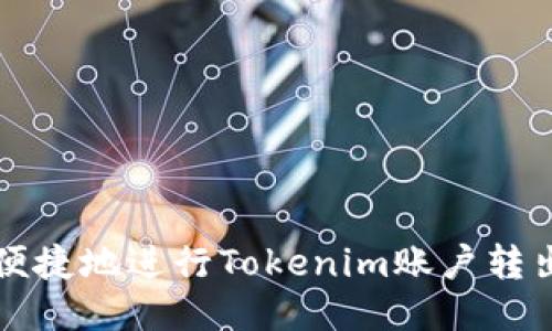 如何安全便捷地进行Tokenim账户转出操作指南