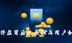 虚拟币停盘背后的原因与