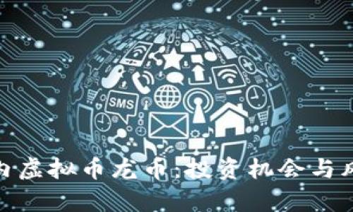 全面解析国内虚拟币龙币：投资机会与风险一网打尽