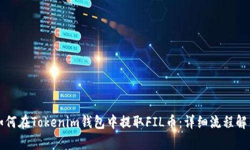 如何在Tokenim钱包中提取FIL币：详细流程解析
