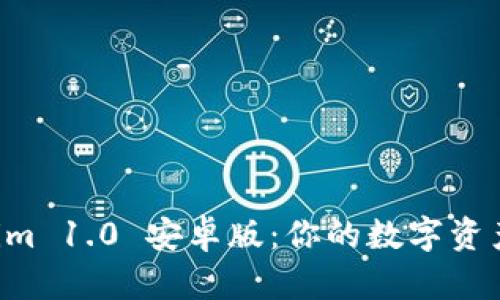 探索 Tokenim 1.0 安卓版：你的数字资产管理新助手