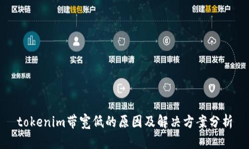 tokenim带宽低的原因及解决方案分析