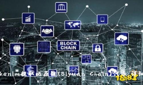 如何从Tokenim提取比原链(Biyuan Chain)代币：详细操作指南