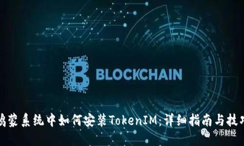鸿蒙系统中如何安装TokenIM：详细指南与技巧