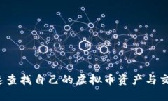 如何快速查找自己的虚拟币资产与交易记录？