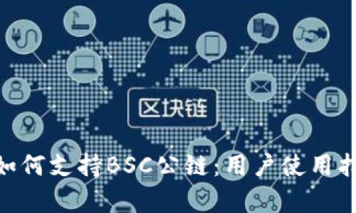 Tokenim钱包如何支持BSC公链：用户使用指南及优势分析