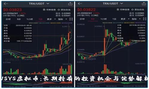 VSYS虚拟币：长期持有的投资机会与优势解析