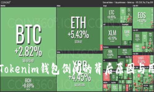 ### 探讨Tokenim钱包倒闭的背后原因与用户应对策略
