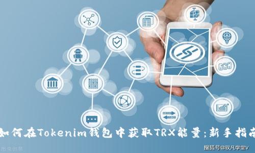 如何在Tokenim钱包中获取TRX能量：新手指南