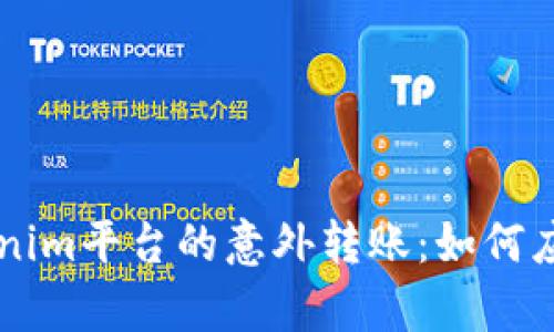 解析Tokenim平台的意外转账：如何应对与解决