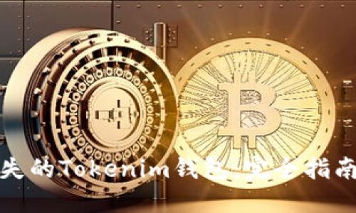 如何找回丢失的Tokenim钱包：完全指南与实用技巧