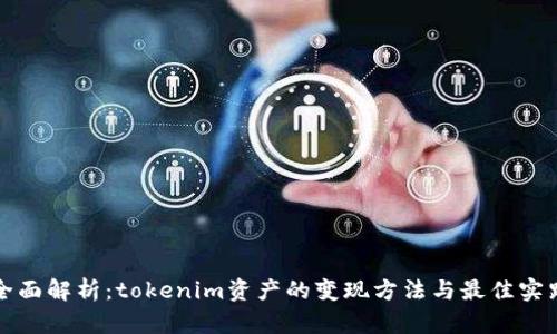 全面解析：tokenim资产的变现方法与最佳实践