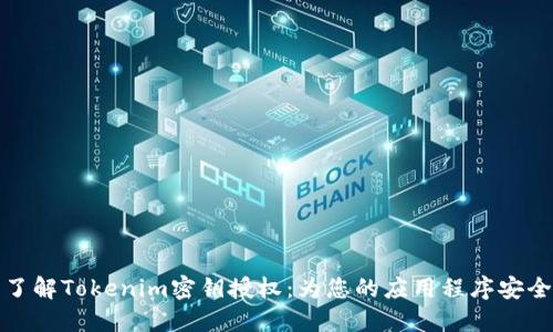 深入了解Tokenim密钥授权：为您的应用程序安全护航