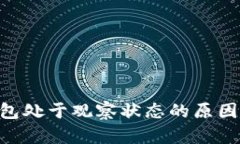 Tokenim钱包处于观察状态的原因及解决方案
