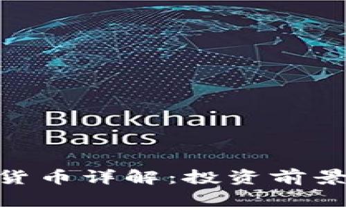 EDC币虚拟货币详解：投资前景与风险分析