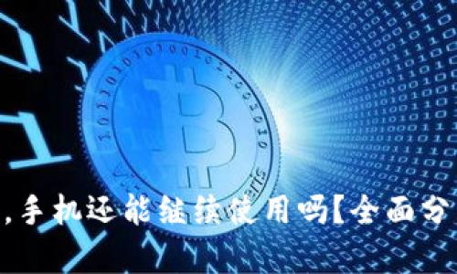 Tokenim被盗，手机还能继续使用吗？全面分析与应对方案