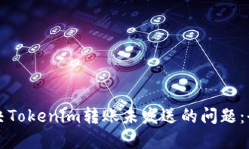如何解决Tokenim转账未发送的问题：全面指南