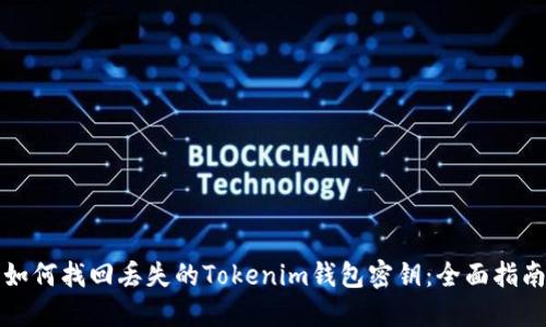 如何找回丢失的Tokenim钱包密钥：全面指南
