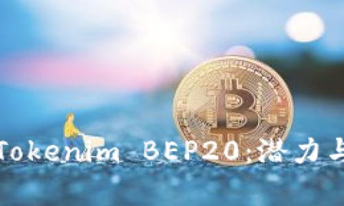深入了解Tokenim BEP20：潜力与应用前景
