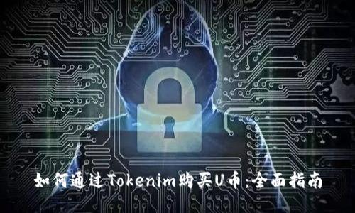 如何通过Tokenim购买U币：全面指南