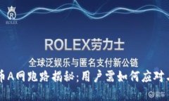 虚拟币A网跑路揭秘：用户需如何应对与防范