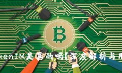国内TokenIM是真的吗？深度解析与用户指南