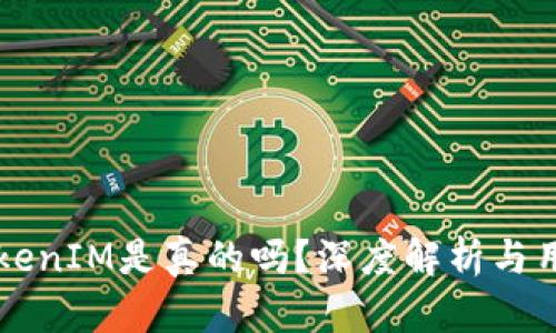 国内TokenIM是真的吗？深度解析与用户指南