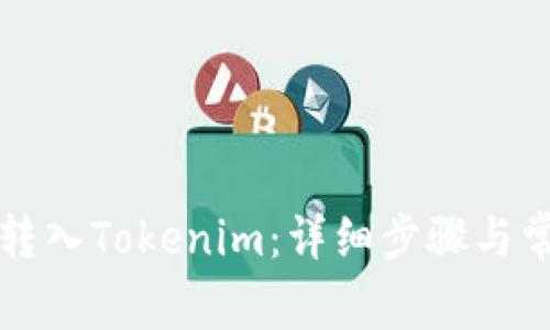 如何将屎币转入Tokenim：详细步骤与常见问题解析
