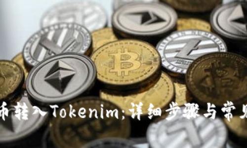 如何将屎币转入Tokenim：详细步骤与常见问题解析