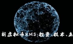 全面解析虚拟币KMS：投资、技术、未来展望